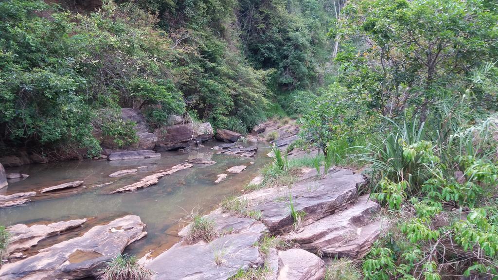 Tea Leaf Retreat Apartment Kandy Ngoại thất bức ảnh