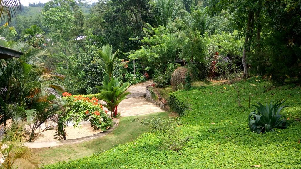 Tea Leaf Retreat Apartment Kandy Ngoại thất bức ảnh