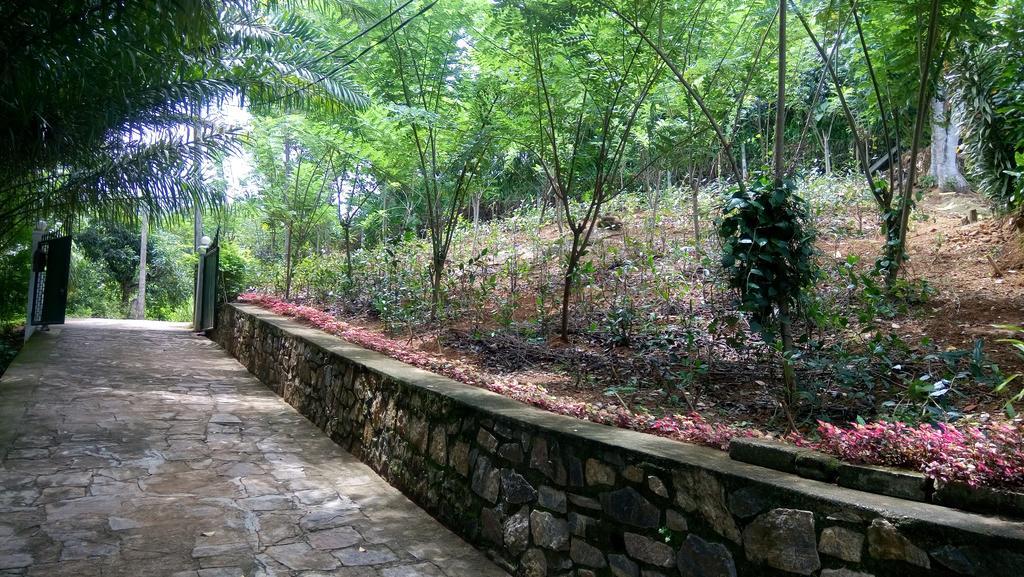 Tea Leaf Retreat Apartment Kandy Ngoại thất bức ảnh