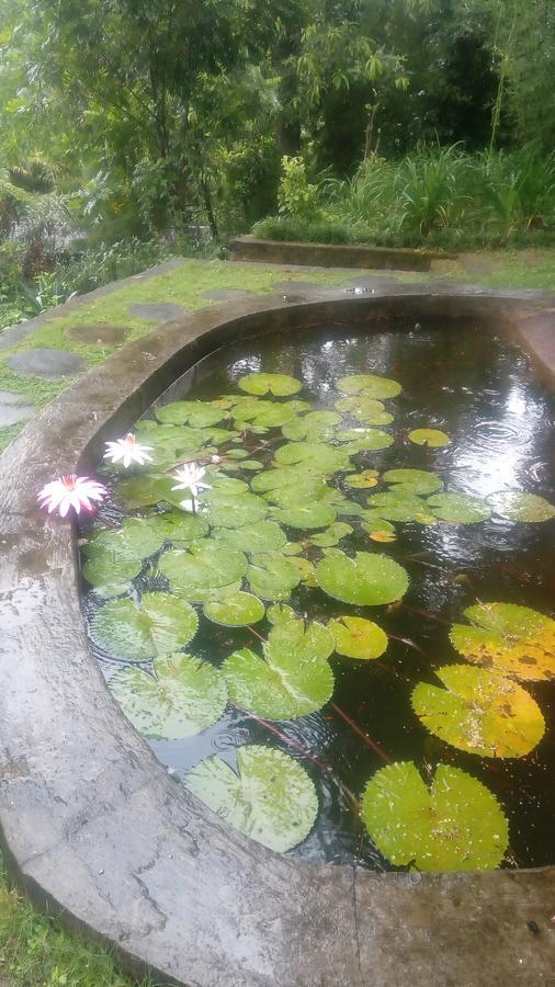 Tea Leaf Retreat Apartment Kandy Ngoại thất bức ảnh