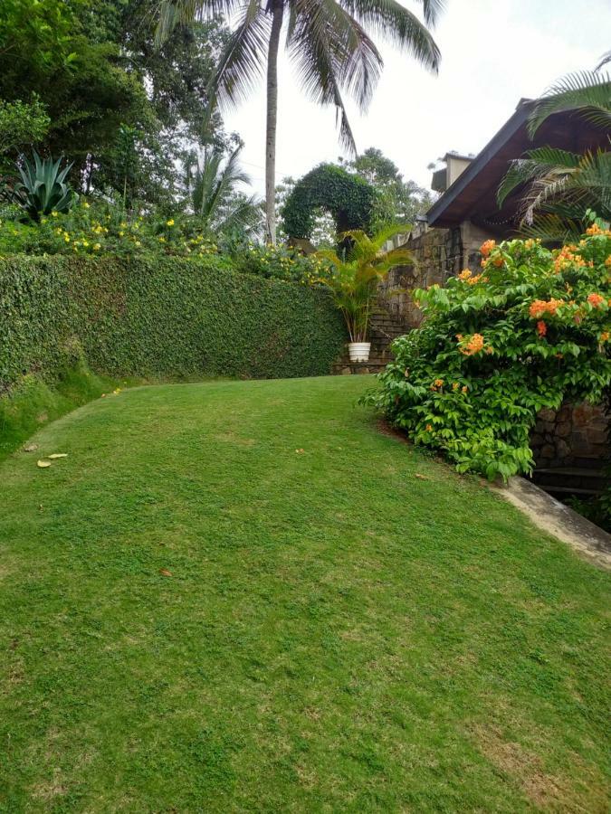 Tea Leaf Retreat Apartment Kandy Ngoại thất bức ảnh